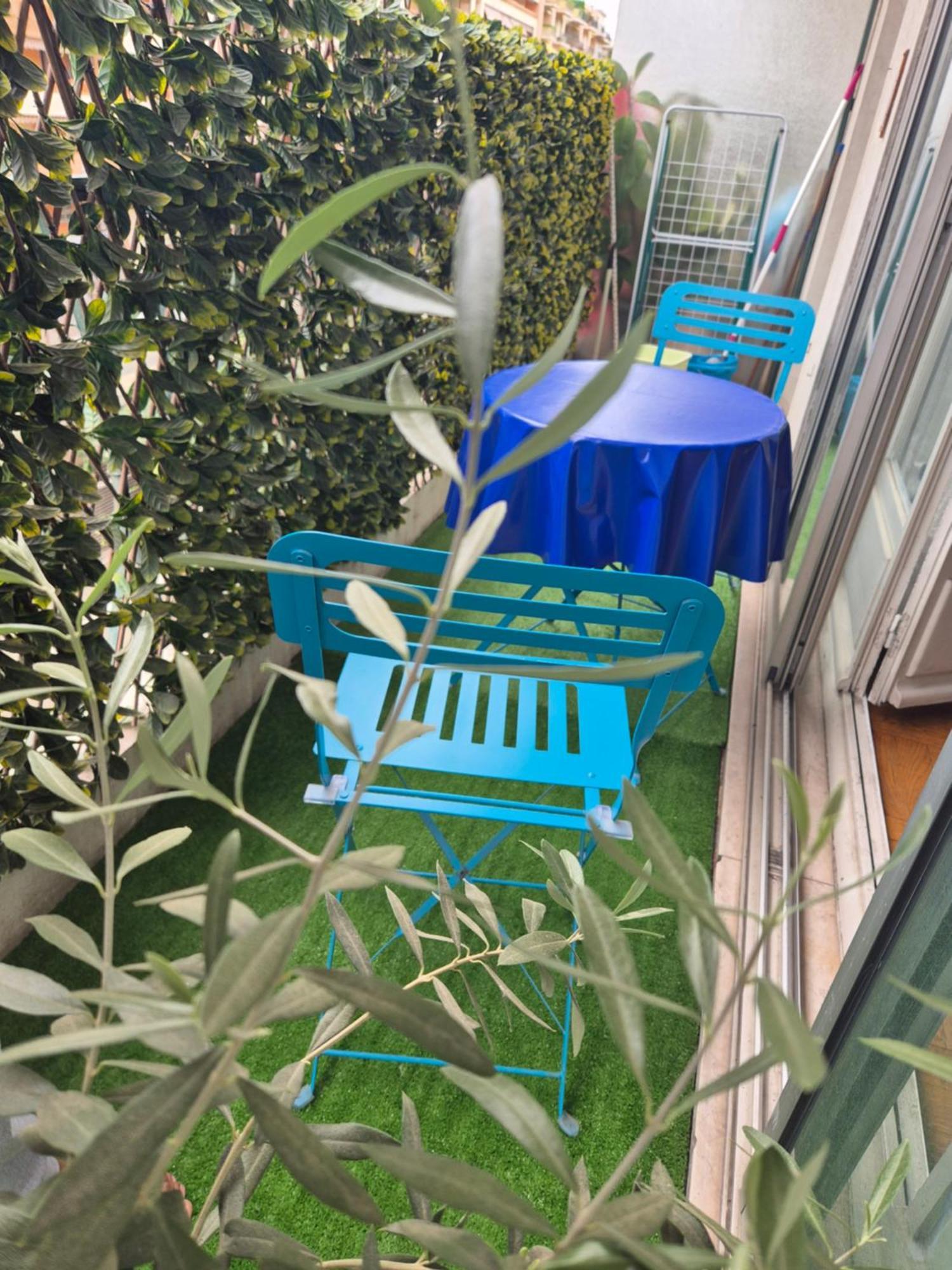 דירות ניס Le Grand Sud מראה חיצוני תמונה